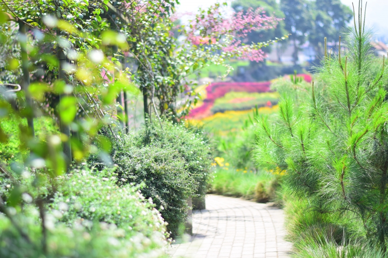 paysagiste-DURANUS-min_landscape-tree-nature-forest-light-plant-1588789-pxhere.com